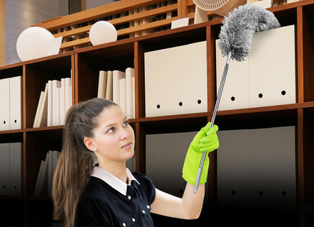 Telescopische Duster Set 6 Delig van Clever Clean