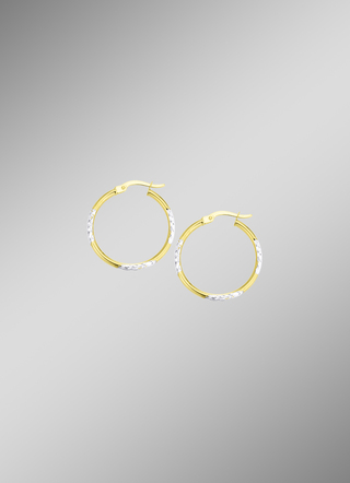Mooie diamanten hoepels