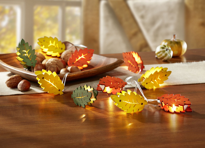 Woonaccessoires - Feeënlichtjes op batterijen herfst, in Farbe MULTICOLOR