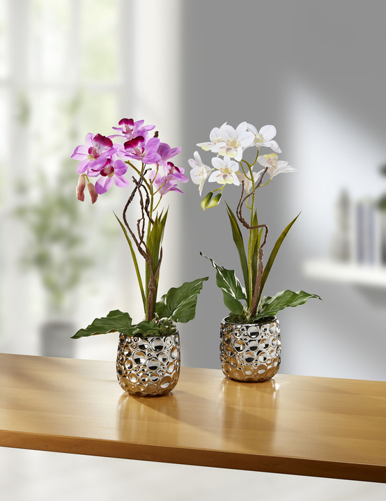 Kunst- & textielplanten - Orchideeënbloemstuk in keramieken pot, in Farbe CRÈME