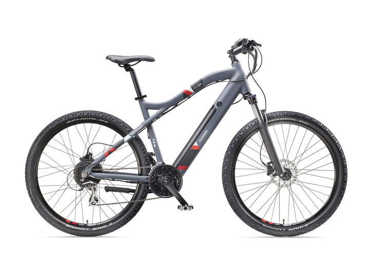 Elektrische fietsen - Mountain e-bike met krachtige achterwielmotor van 250 watt, in Farbe GRIJS Ansicht 1