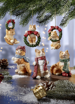 Boomhanger of winterkitten