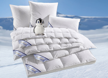 Down programma Antarctica vanuit Spessarttraum