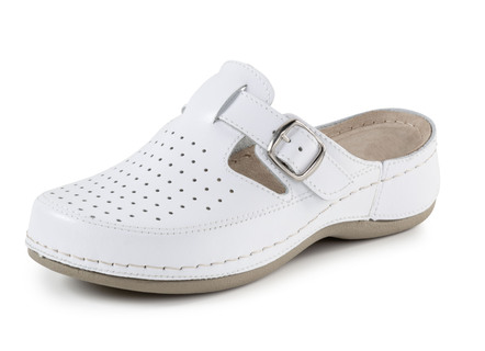 Clogs