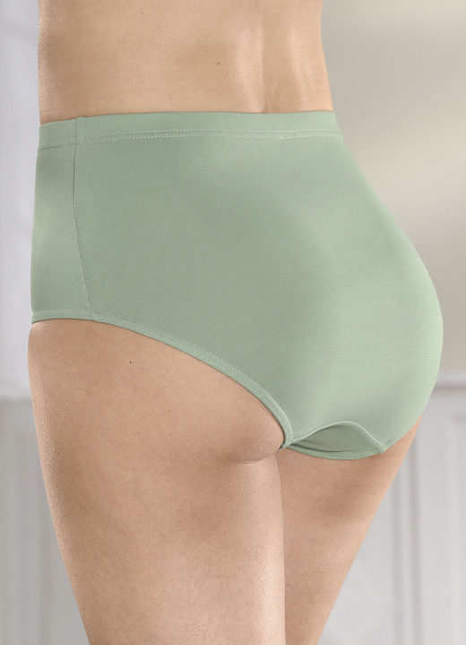 - Set van vier slips met elastische band, in Größe 038 bis 054, in Farbe SALIE Ansicht 1