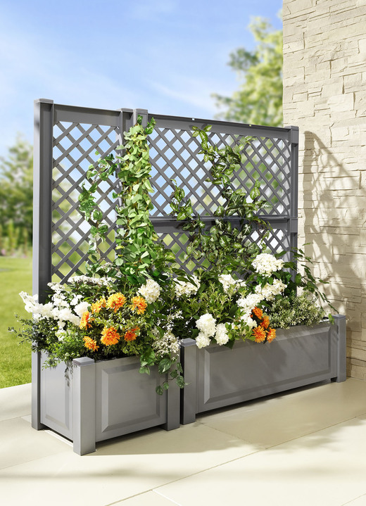 Plantenbakken - Plantenbak met trellis van robuust kunststof, in Farbe GRIJS, in Ausführung Smalle plantenbak met latwerk Ansicht 1