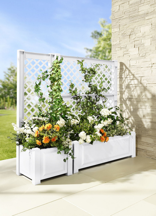 Plantenbakken - Plantenbak met trellis van robuust kunststof, in Farbe WIT, in Ausführung Smalle plantenbak met latwerk Ansicht 1