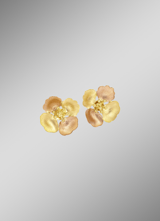 Oorbellen - Gesatineerde bloemoorknopjes in tweekleurig, in Farbe  Ansicht 1