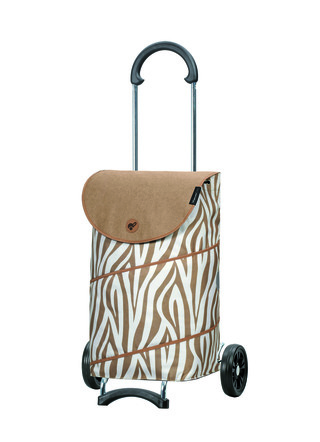 Shopper gemaakt van verchroomd stalen frame