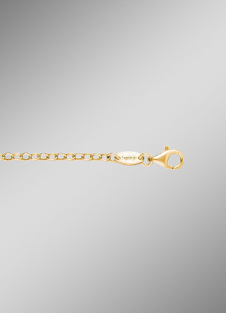 Vergulde ankerketting