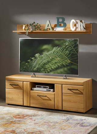 TV-longboard met wandplank