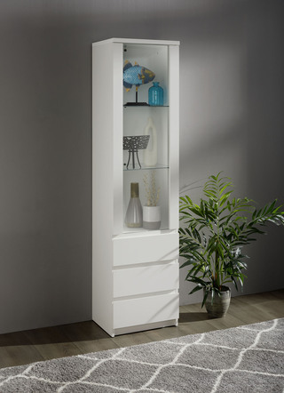 Vitrine in modern design