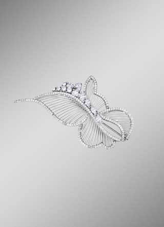 Speld zilver 925/-