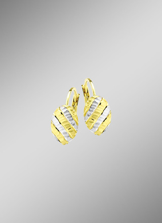 Ohrringe Gold 375/-