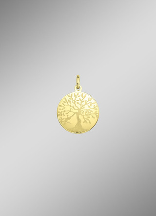 Hanger o. K. Goud 585/-
