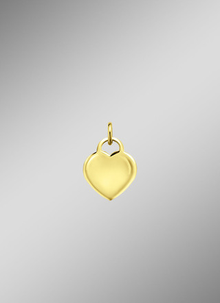 Hanger o. K. Goud 585/-