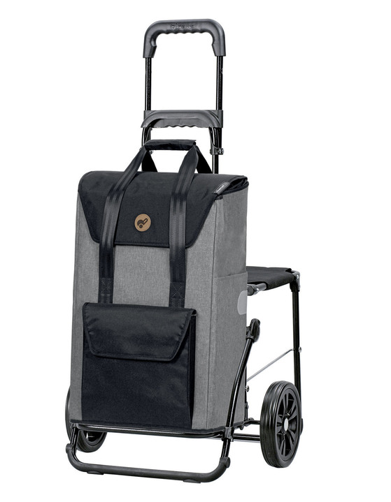 Einkaufstrolleys - Einkaufsroller grau, in Farbe GRAU Ansicht 1