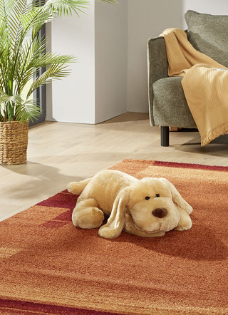 Pluche hond