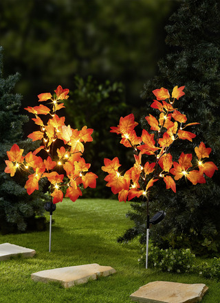 Herfstachtige LED-esdoornstak