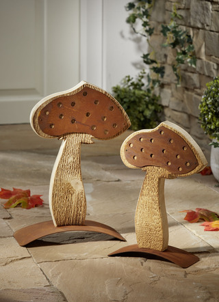 Pilz "Marone", 30cm