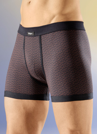 Viererpack Unterhosen