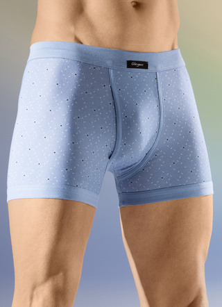 Viererpack Unterhosen