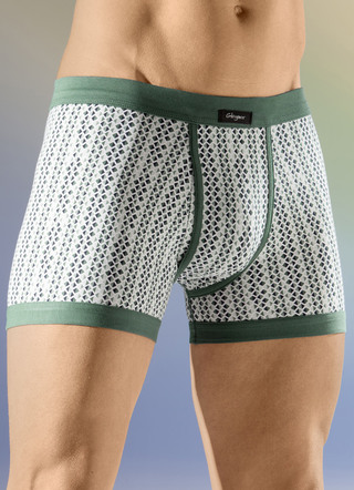 Viererpack Unterhosen