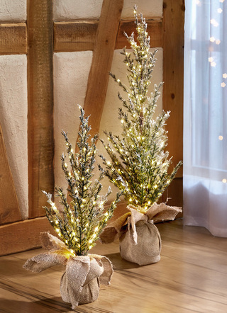 Beleuchteter Tannenbaum