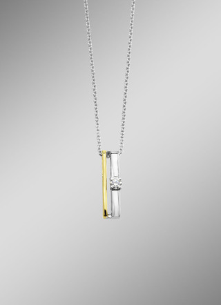 Tijdloze elegantie: hanger met diamant en ankerketting