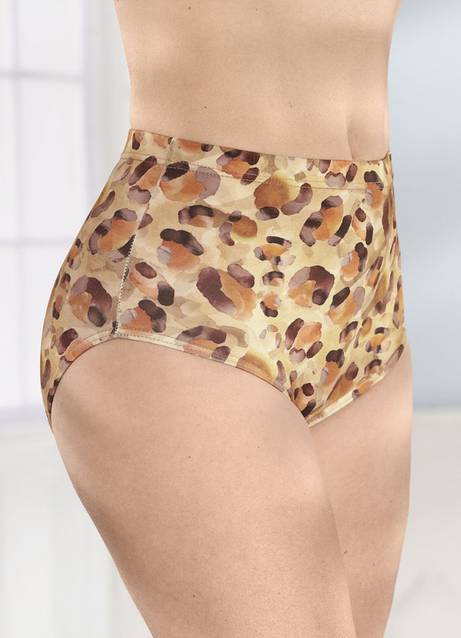 Slips - Drie pakjes slips, in Größe 038 bis 054, in Farbe 2X BEIGE-MOKKA-BUNT, 1X PUDER Ansicht 1