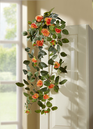 Roze hanger