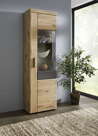 Vitrine met antracietkleurige elementen