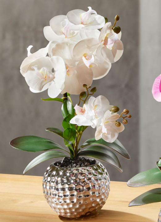 Kunst- & textielplanten - Orchidee Phalaenopsis in keramische kom, in Farbe CREME Ansicht 1