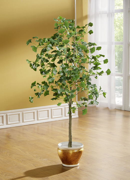 Kunst- & Textilpflanzen - Gingko-Baum, in Farbe GRÜN, in Ausführung klein
