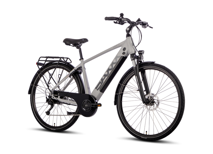 Elektrische fietsen - E-Trekkingfiets X-Road 5.0, in Farbe SILBER Ansicht 1