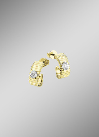 Elegante oorbellen