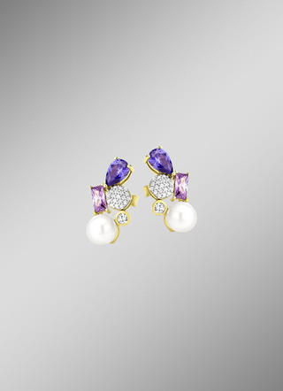 Elegante oorbellen
