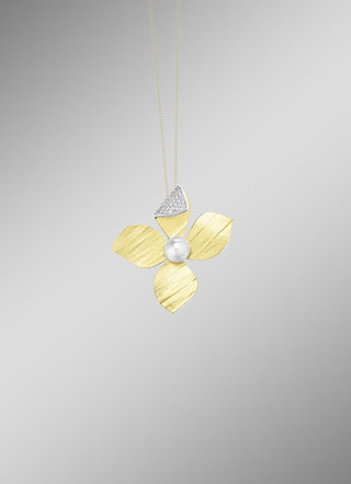 Prachtige hanger