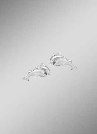 Ohrstecker Silber 925/-
