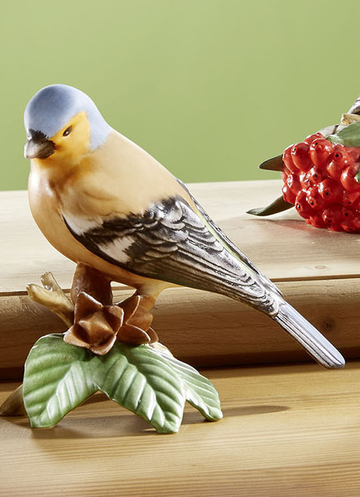 Beeldjes - Vogelbeeldjes van hoogwaardig biscuitporselein, in Farbe BUNT, in Ausführung Vink Ansicht 1