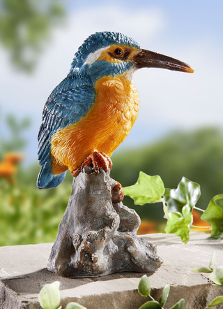 Eisvogel