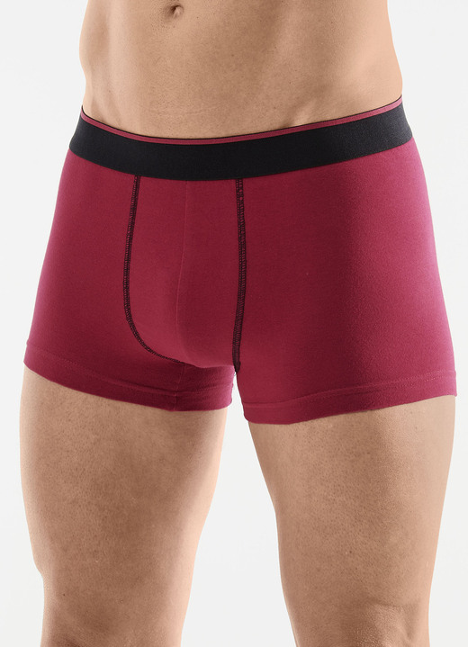 Pants & Boxershorts - Viererpack Pants, in Größe L bis XXL, in Farbe 1X WEINROT, 1X SMARAGD, 1X SCHWARZ, 1X SCHIEFER Ansicht 1