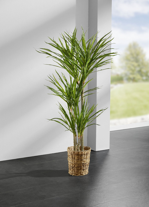 Kunst- & textielplanten - Yuccapalm in een pot, in Farbe GROENTE