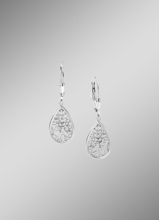 Ohrringe Silber 925/-