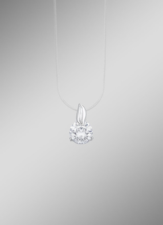 Prachtige hanger met zirkonia