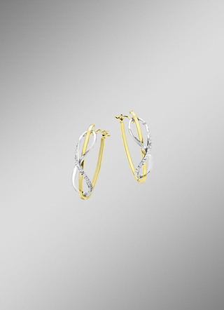 Creolen Gold 375/-