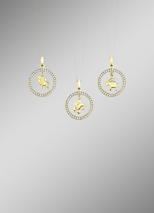 Hangers - Gouden dierenriemhanger met zirkonia, in Größe 001 bis 012, in Farbe  Ansicht 1