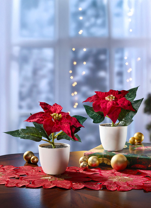 Gestecke & Kränze - Mini-Poinsettia im Topf, 2er-Set, in Farbe ROT