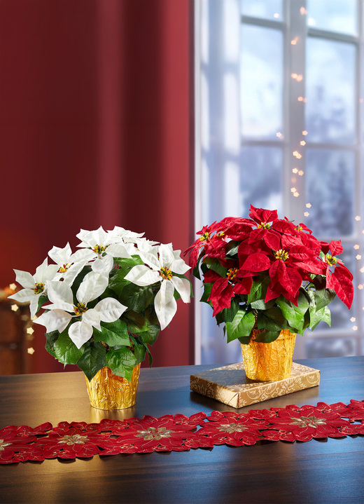 Bloemstukken & kransen - Kerstster in een pot, in Farbe WIT