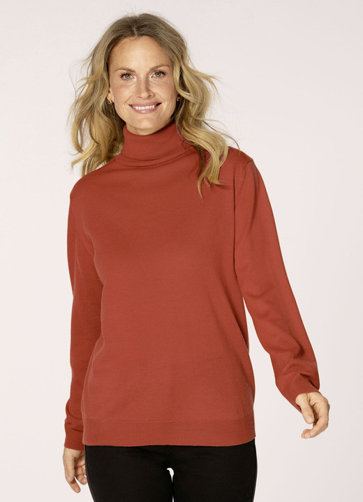 Basics - Rollkragen-Pullover, in Größe 038 bis 052, in Farbe ORANGE Ansicht 1